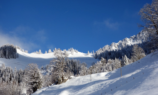 Maria-Rickenbach-Schneeschuhtour